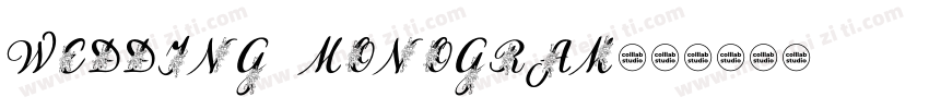 Wedding Monogram字体转换